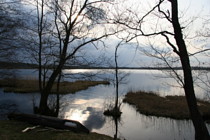 Озеро Ламенское (Богоявленское, Ламна)