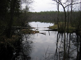 Озеро Рябово (Рябо)
